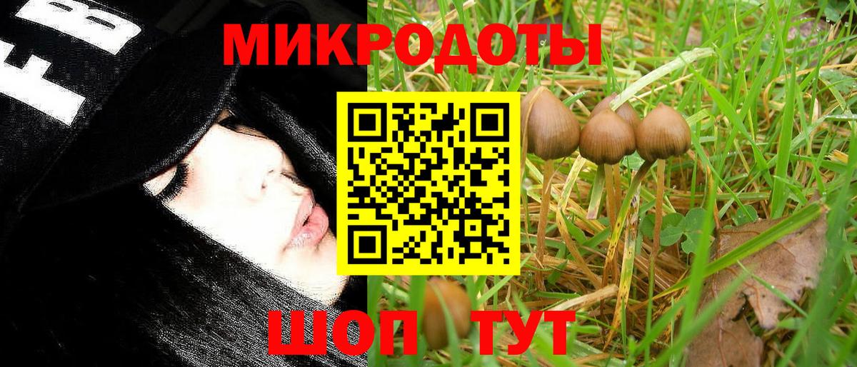 Псилоцибиновые грибы Psilocybine cubensis  Вход с VPN  Сарапул 